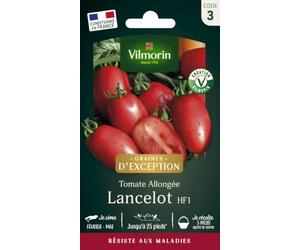 Tomate Lancelot HF1 - Graines d'Exception - Vilmorin - Potagères | Tomate Lancelot HF1 | Allongée résiste aux maladies