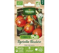 Tomate Tigerella Bicolore - BIO
