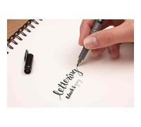Tombow Stylo De Calligraphie Fudenosuke Twin, Noir/Gris
