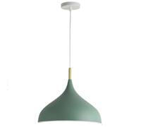 TONFON Restaurant Lustre en métal coloré Éclairage créatif Nordique Lampe Suspendue Décoration d'intérieur Lampe Suspendue à Hauteur réglable for îlot de Cuisine Salon Chambre Chevet(Green,32cm)