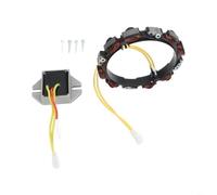 TONIXY Garden Equipment Bobine de stator et régulateur d'alternateur de moteur, 2 broches en métal, sortie électrique 10-16 A, compatible OEM 592830/696458/691064/393295/845907/394890/797375/393374