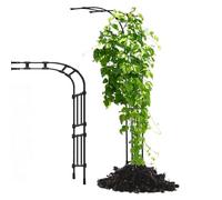 Tonnelle de rosier demi-arquée pour plantes grimpantes, arche de jardin, demi-paroi latérale, support extérieur pour rosiers, pelouse, terrasse, jardin, 2,4 m 2,7 m (noir, 275 x 267 x 60 cm)