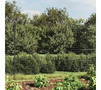 Tonture Clôture en treillis métallique anthracite 1,6x10 m avec poteaux, panneau de barrière robuste, idéal pour jardin, terrasse ou piscine, durable, galvanisée, avec revêtement PVC