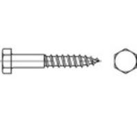 TOOLCRAFT 109286 Vis hexagonale 20 mm 180 mm 6 pans extérieurs DIN 571 acier étamé par galvanisation 10 pc(s)