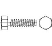 TOOLCRAFT 144620 Vis à tôle hexagonales 4.8 mm 19 mm 6 pans extérieurs DIN 7976 acier étamé par galvanisation 250 pc(s)