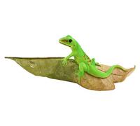 Top Collection Jardin Féérique Miniature et de Terrarium Jour Gecko Statue sur Une Feuille