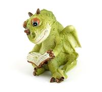Top Collection Livre de Lecture Dragon de Jardin Miniature