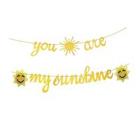 TOPBATHY 1pièce Bannière Anniversaire You Are My Sunshine Décoration De Fête Pour An Guirlande Suspendue Pour Anniversaire Accessoire De Photo Pour Shower