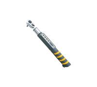 Topeak Wrench D-torq Argenté