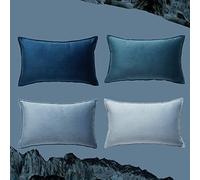Topfinel Housse Coussin Bleu 30x50 cm Décoration Salon Chambre Enfant Bebe Lot de 4 Velours Doux Housse de Coussin pour Canapé Lit Fauteuil de Bureau Scandinave Double Face à Motif Uni Jardin Déco