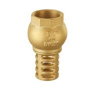 TopHomer DN20, Clapet anti-retour en laiton, Valve à pied à filetage intérieur unidirectionnel avec filtre à tamis, Clapet anti-retour à maille pour pompes à jet de puits, Valve d'aspiration