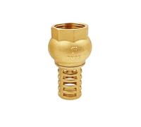 TopHomer DN25, Clapet anti-retour en laiton, Valve à pied à filetage intérieur unidirectionnel avec filtre à tamis, Clapet anti-retour à maille pour pompes à jet de puits, Valve d'aspiration