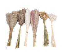 Topiky Bouquet d'herbe de Pampa de Ferme, Queue de Lapin Séchée, Ensemble d'herbe de Roseau pour Toutes Les Saisons (Type 1)