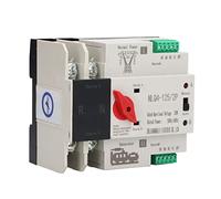 TOPINCN Commutateur de Transfert de Puissance Double, Commutateur Automatique, Opération Facile pour les Familles et les Usines, AC230V (63A)