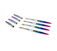 TOPINCN Ensemble de Pinceaux pour Nail Art, Design Ergonomique et Flexible, 4 Pièces, pour Bricolage, Nail Art, Usage Domestique et en Studio, Tube en Aluminium