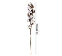 TOPINCN Lot de 3 fleurs séchées en coton séché naturel - Couronne de boules séchées - Branches de tige - Fleurs décoratives pour style ferme, fête de mariage, maison