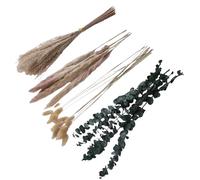TOPINCN Lot de 50 Bouquets de Fleurs Séchées - Arrangement Floral Bohème - Décoration Bohème avec 30 Herbes Douces, 10 Queues de Lapin, 5 Herbes de Pampa et 5 Eucalyptus pour Décoration (4 Types)