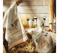 Torchon En Coton Orange 50x75