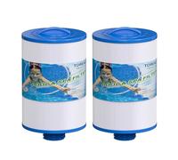 TOREAD - Lot de 2 filtres de Remplacement pour Spa Unicel 6CH-940, PWW50P3 (Pas PWW50P4), Filbur FC-0359, 817-0050, 25252, 03FIL1400 - Filetage SAE 3,8 cm