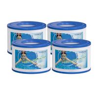TOREAD POOLPURE Lot de 4 filtres de Rechange PureSpa de Type S1 pour Cartouches de Piscine Easy Set 11692