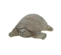 Tortue écailles 12 cm