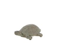 Tortue écailles petit modèle