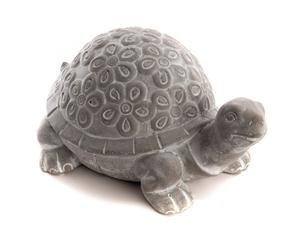 Tortue Pierre grand modèle - Amadeus