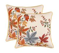 Tosleo Housse de Coussin Fleurs 45 x 45 cm Jardin Feuille d'érable Décoratif Fruits Rouges Taie d'oreiller pour Canapé Salon Chambre Chaise Maison Automne Décoration 2 Pièces