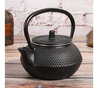 Tosuny Bouilloire à thé en Fer 0,3 L avec Infuseur |Chaudière Japonaise en Fonte pour Service à thé Domestique