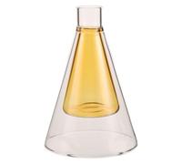 Totority Diffuseur de Parfum Contrôle Clair en Verre Transparent 90ml Double Paroi Capacité pour Thé et Parfum, Compatible Exposition et Spa