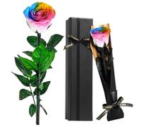 Touloube Rose Eternelle Préservée, Fleur Multicolore Cadeau Femme, Idee Rosee Cadeau Anniversaire Noel Femme pour Elle, Maman Amie Épouse Sœur Mamie, Présent Amour Fete des Meres, Saint-Valentin