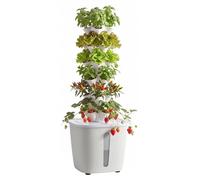 Tour hydroponique - Système de culture hydroponique vertical à 6 niveaux - 30 emplacements pour plantes -via application - Réservoir d'eau de 20 L - Pompe incluse - Pour herbes aromatiques, fruits et