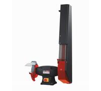 Touret combiné FEMI 296 EVO - 1100 W Triphasé - Ø 200x25x20 mm - Avec bande inclinable - 8061032