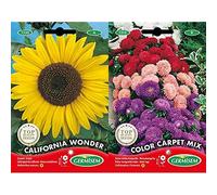 Tournesol + Mix Aster Chinois