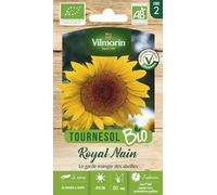 Tournesol Royal Nain - BIO