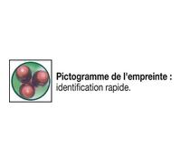 Tournevis 302 Pro SoftFinish Fente WIHA - Lame ronde 4 x 100 mm - 00692