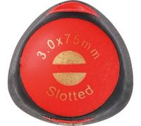 Tournevis plat 3x75mm DRAKKAR TOOLS - 13260