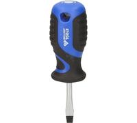 Tournevis Plat Taille de Lame de 1,0 x 5,5 mm - Tournevis BT030901 avec Bonne Adhérence - pour Professionnel et Bricoleur - Manche Ergonomique - Embout en Acier au Chrome Vanadium - BRILLIANT TOOLS