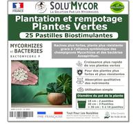 TOUT POUR LES NUISIBLES SoluMycor 25 Pastilles Bio-stimulantes pour Plantation et Rempotage de Plantes Vertes - Mycorhizes - Développement racinaire - Fabriqué en France