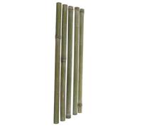 TOYANDONA 5pièces Lot de Tubes Bambou Supports pour Plantes Treillis pour Jardinage Piquets Décoratifs Naturels à Insérer Terre