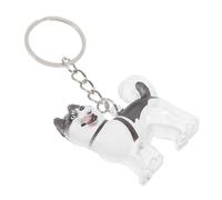 TOYANDONA Boîte à Souvenirs pour Poils de Chien en Abs Transparent Porte-clés, Design Capsule Unique, Accessoire Multifonction pour Rangement de Poils d'animaux en Voyage Quotidien