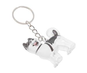 TOYANDONA Boîte à Souvenirs pour Poils de Chien en Abs Transparent Porte-clés, Design Capsule Unique, Accessoire Multifonction pour Rangement de Poils d'animaux en Voyage Quotidien