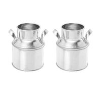 TOYANDONA Seau à Fleurs Vintage en Fer Galvanisé, Lot de 2, Style Délicat | Décor Fenêtre et Maison, Rangement D’objets, pour Fleurs Artificielles et Loisirs Créatifs, Argenté