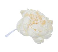 Toyvian Diffuseur de Parfum sans Flamme Fleur de Pivoine Naturelle avec Tige de Rotin pour Décoration Intérieur et Ambiance Parfumée
