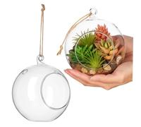 Toyvian Lot de 2 Boules en Verre à Suspendre - Vase en Verre pour Plantes et Fleurs - Mini Cache-Pot décoratif - Jardin et Chambre
