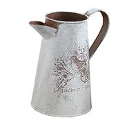 Toyvian Lot de 2 Seaux en Fer Vintage pour Décoration Intérieure, Contenant pour Composition de Fleur, Style Champêtre Élégant, pour Bureau ou Maison