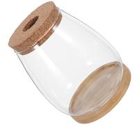 Toyvian Lot de 2 Sets de Vases en Verre Hydroponiques pour Plantes D’intérieur avec Bouchon en Liège Percé et Plateau en Bambou - Grand Format, Récipient pour Propagation