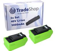 Trade-Shop Lot de 2 batteries Li-ion 40 V/5000 mAh compatibles avec les outils Greenworks 40 V G-MAX remplace 213332, 26011202, 29717, 2600702, 20202, 22262, 24252, 25312