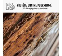 Traitement capricorne produit injecter pulvériser 20 L