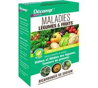 Traitement Maladies Légumes & fruits - DECAMP - Protection fongique - 1L
